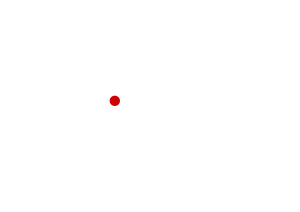 Wally Wallis Media